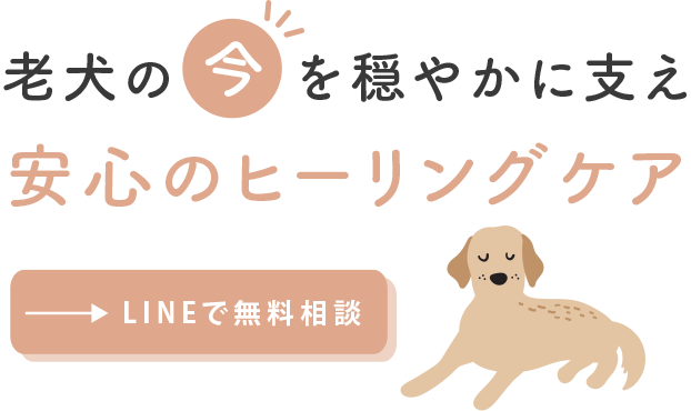 全地域を対象にご相談を受付中