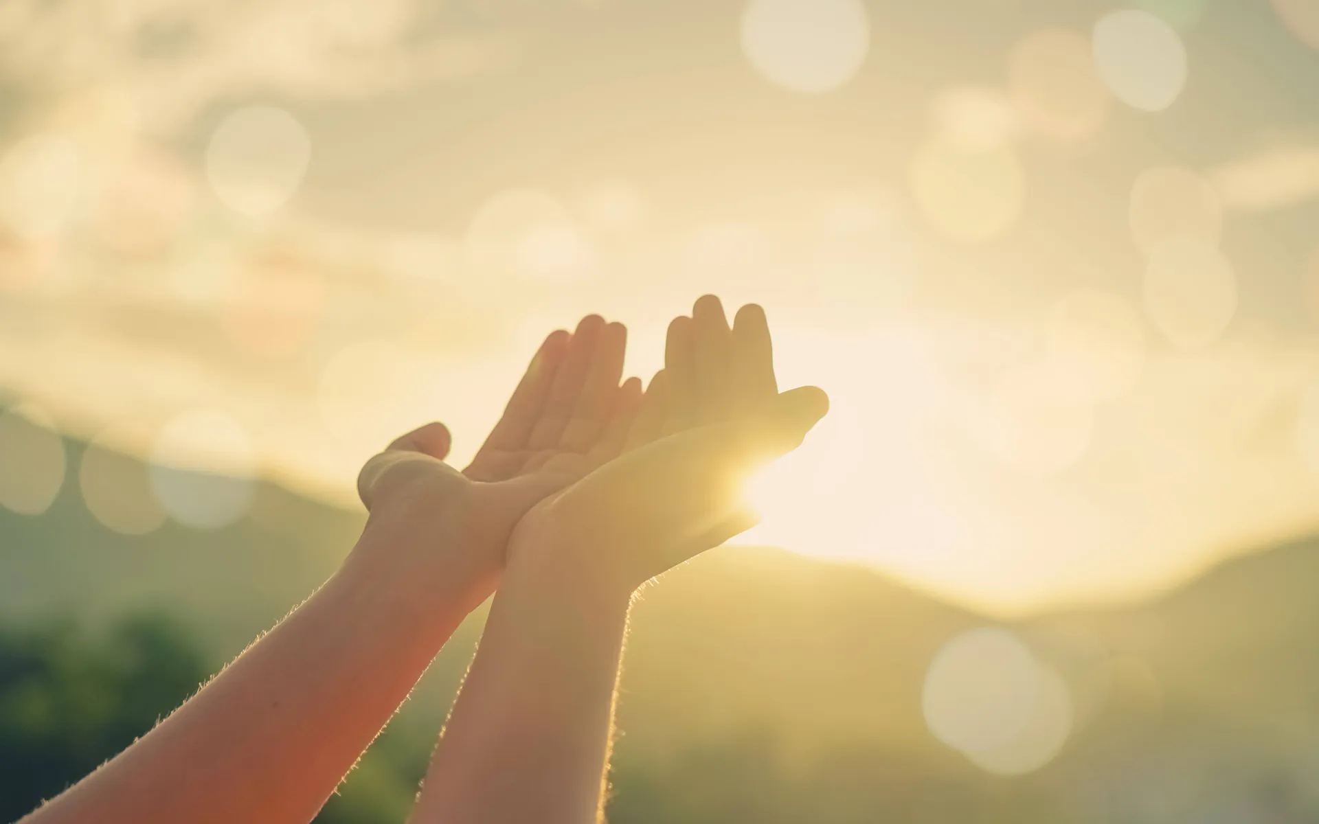 老犬に寄り添うヒーリングケア